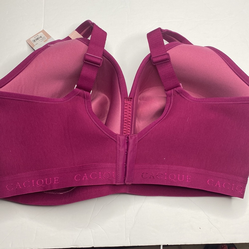 40H burgundy lace cotton lightly lined no wire bra Lane Bryant NWT plus size bra - Picture 6 of 8